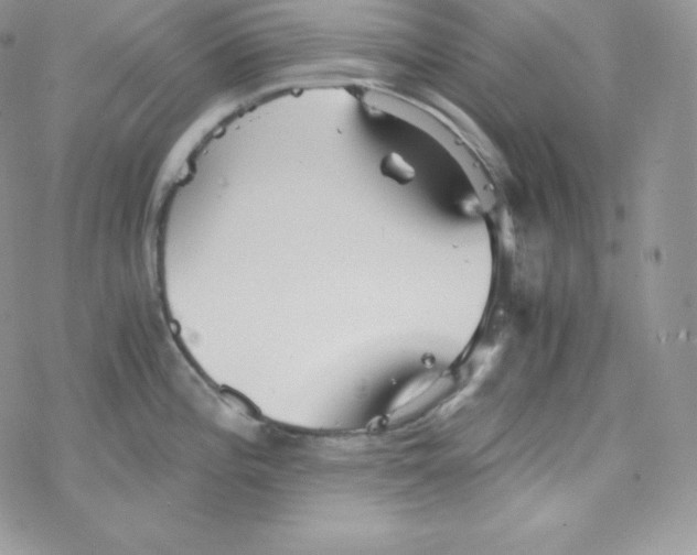 X0000078301196200611251501