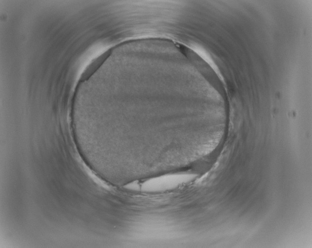 X0000078301197200611251501