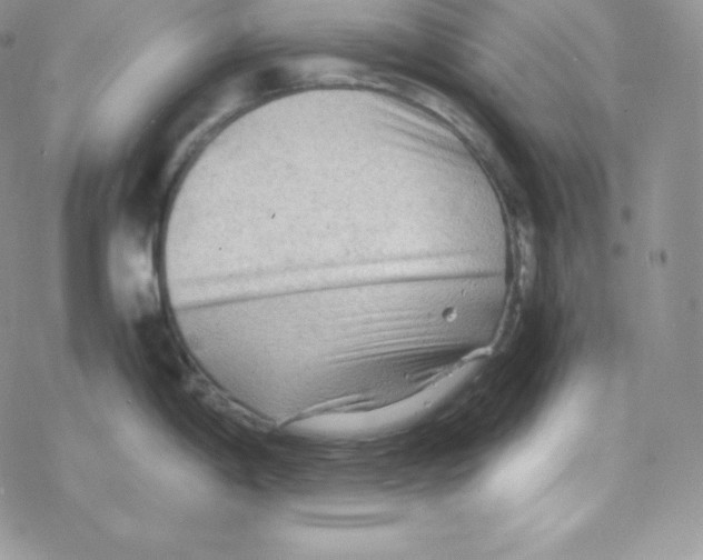 X0000078301198200611251501