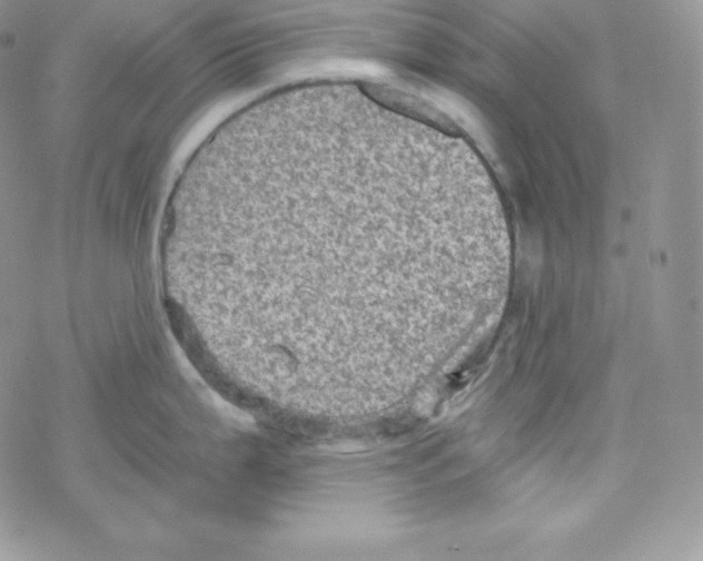 X0000078301199200611251501