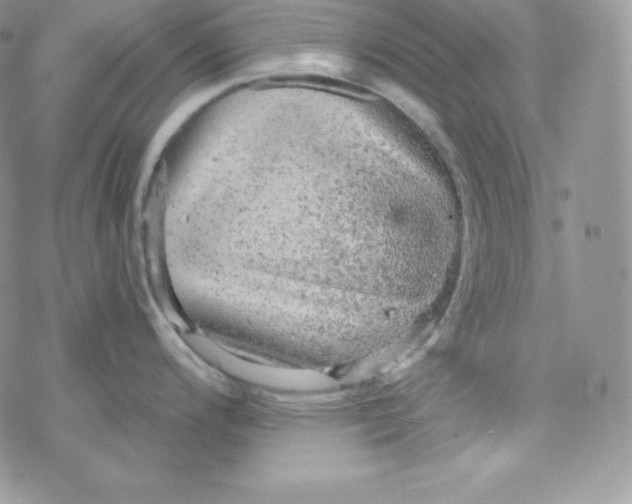 X0000078301200200611251501