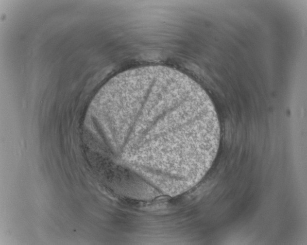 X0000078301201200611251500