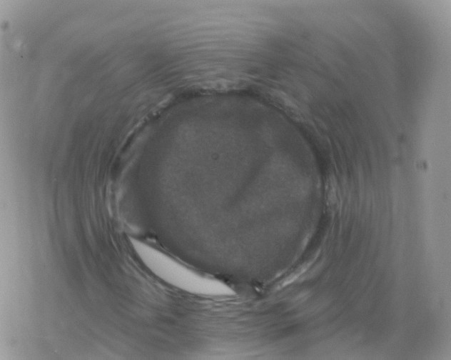 X0000078301202200611251500