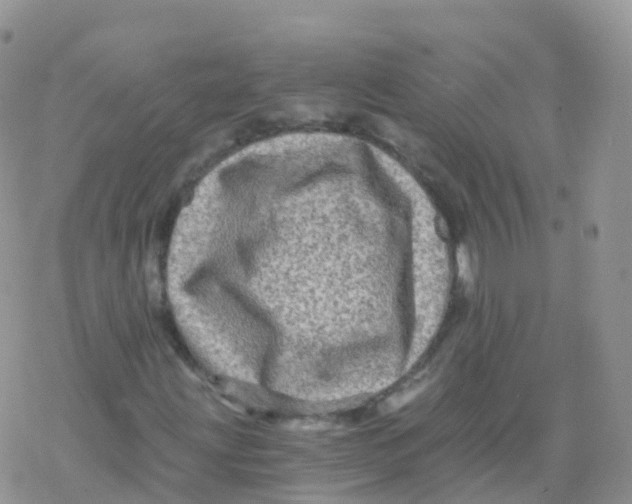 X0000078301203200611251500