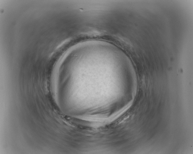 X0000078301205200611251500