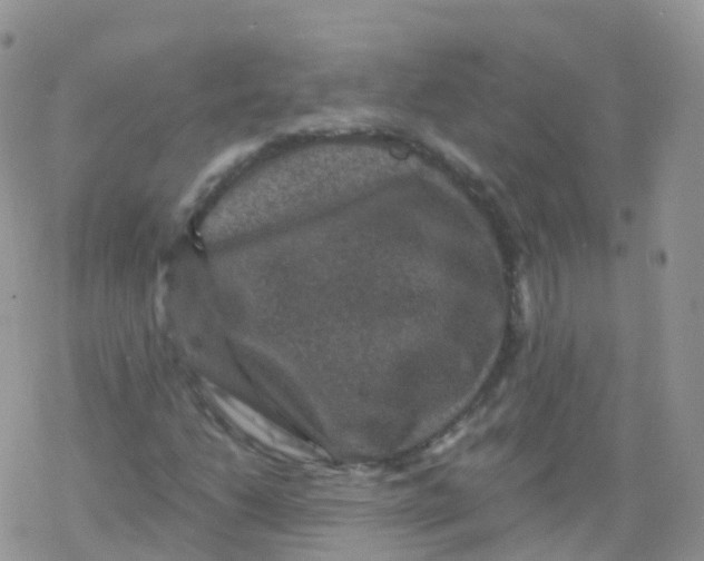 X0000078301206200611251500