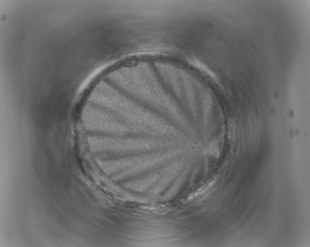 X0000078301208200611251500