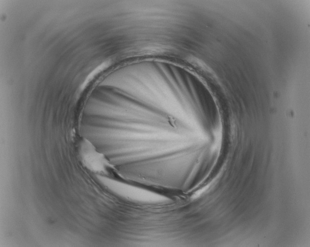 X0000078301210200611251500