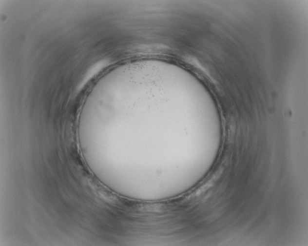 X0000078301211200611251500