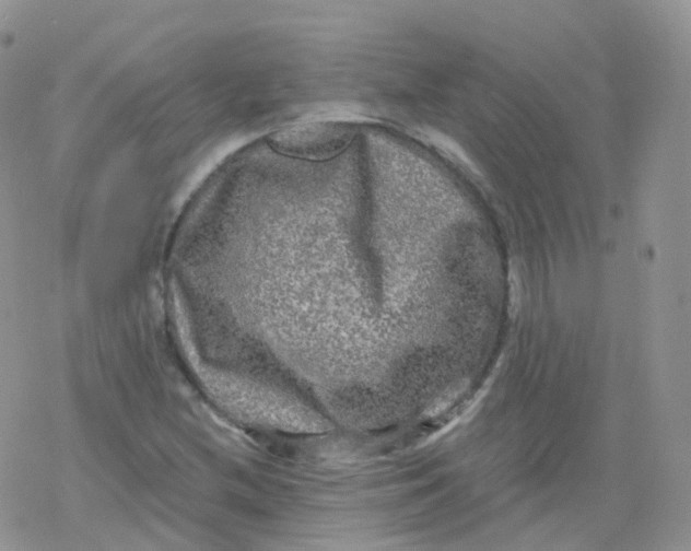 X0000078301212200611251500