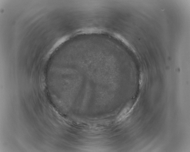 X0000078301213200611251500