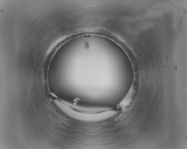 X0000078301214200611251500