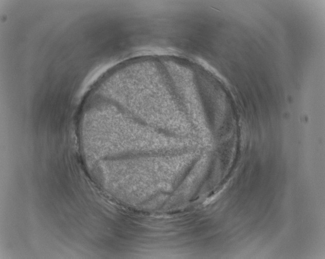 X0000078301215200611251500