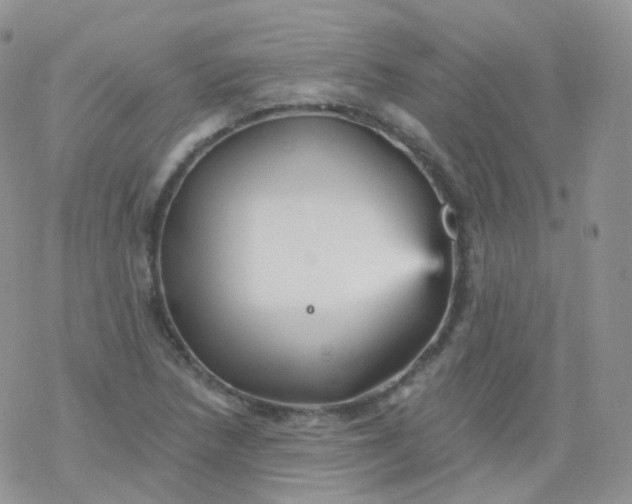 X0000078301218200611251500