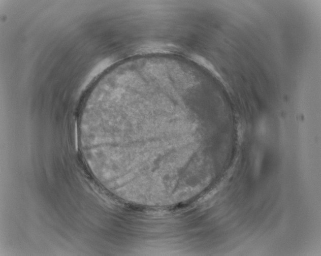 X0000078301219200611251500