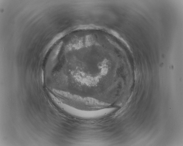 X0000078301221200611251500