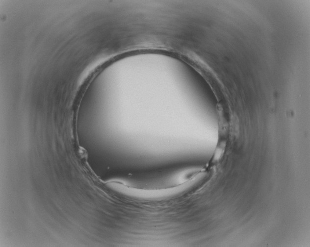 X0000078301222200611251500