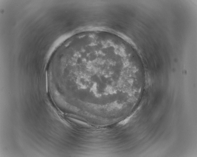 X0000078301223200611251500