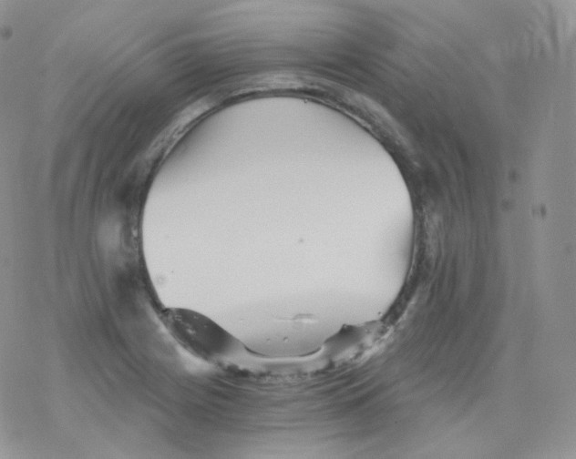 X0000078301225200611251500