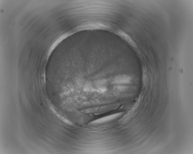 X0000078301226200611251500