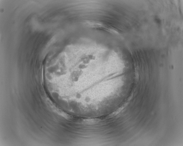 X0000078301227200611251500