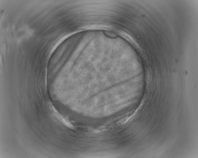 X0000078301228200611251500