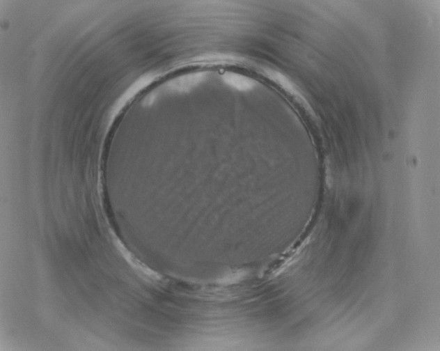 X0000078301229200611251500