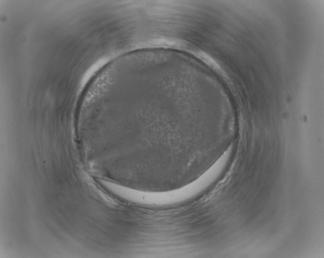 X0000078301230200611251500