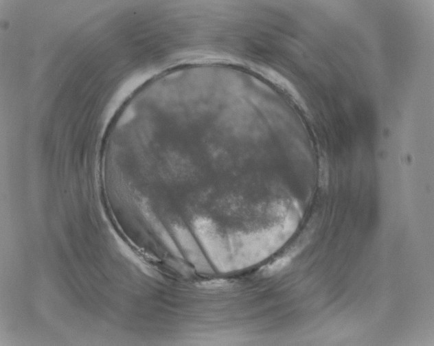 X0000078301231200611251500