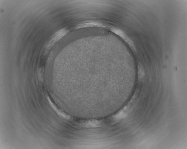 X0000078301233200611251500