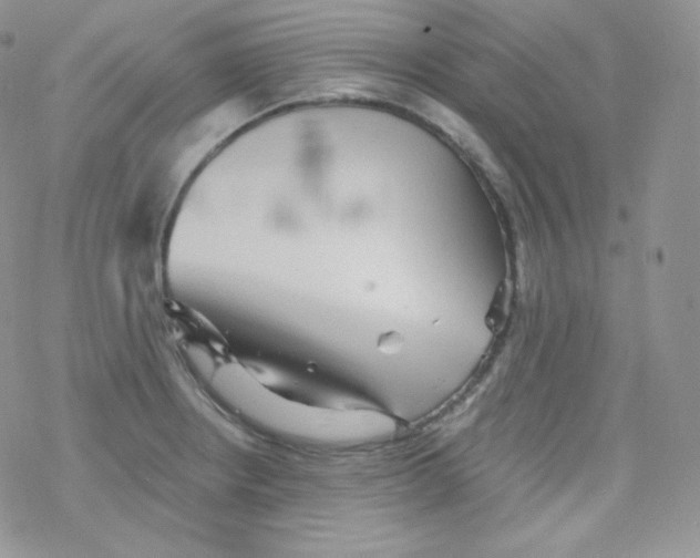 X0000078301234200611251500