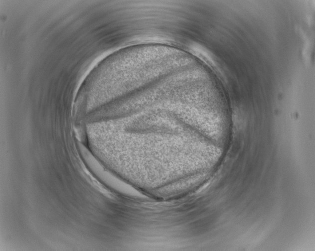 X0000078301236200611251500