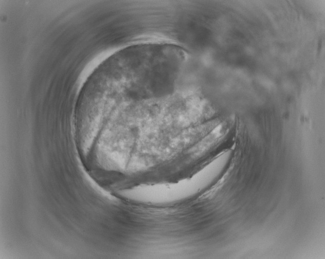 X0000078301239200611251500