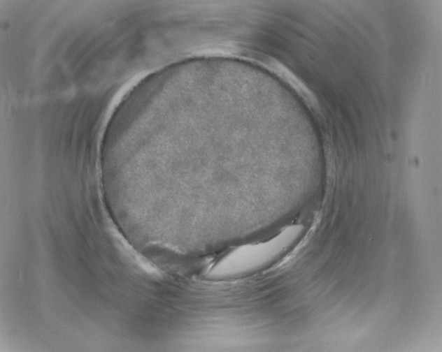 X0000078301240200611251500