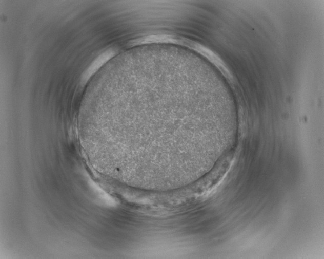 X0000078301241200611251500