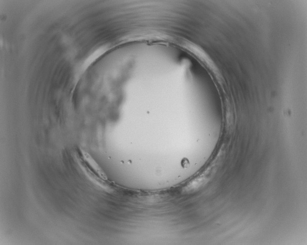 X0000078301242200611251500