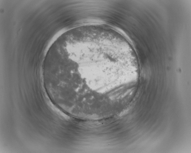 X0000078301243200611251500