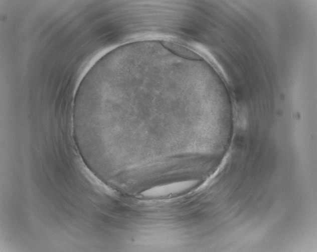 X0000078301244200611251500