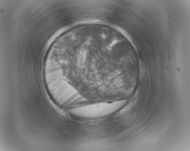 X0000078301245200611251500