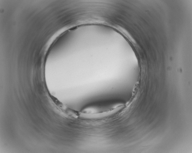 X0000078301246200611251500