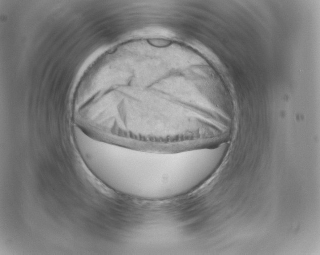 X0000078301248200611251501