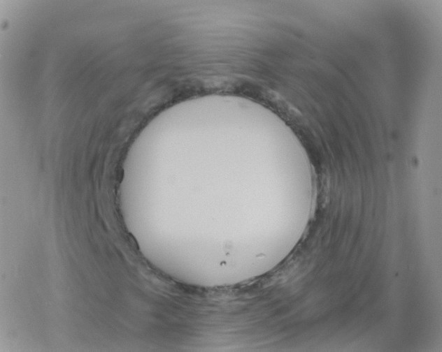 X0000078301249200611251500