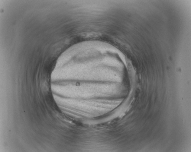 X0000078301250200611251500