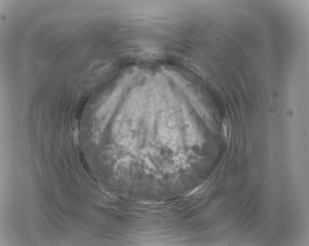 X0000078301251200611251500