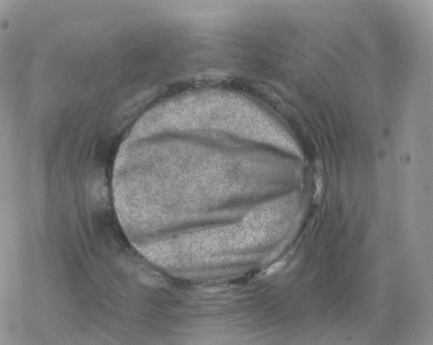 X0000078301252200611251500