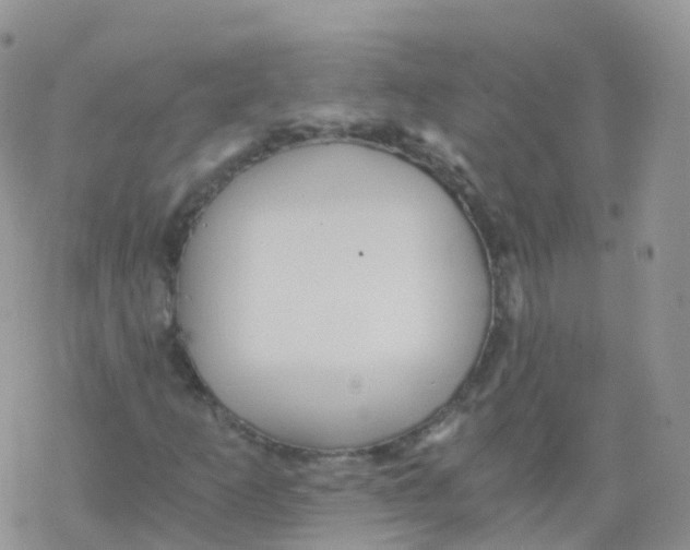 X0000078301253200611251500