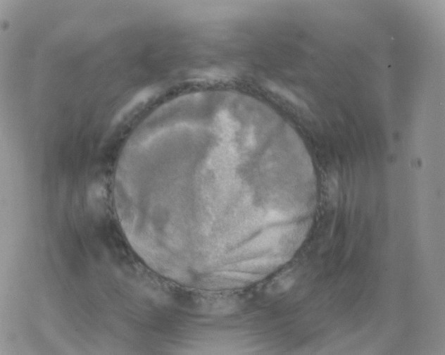 X0000078301254200611251500