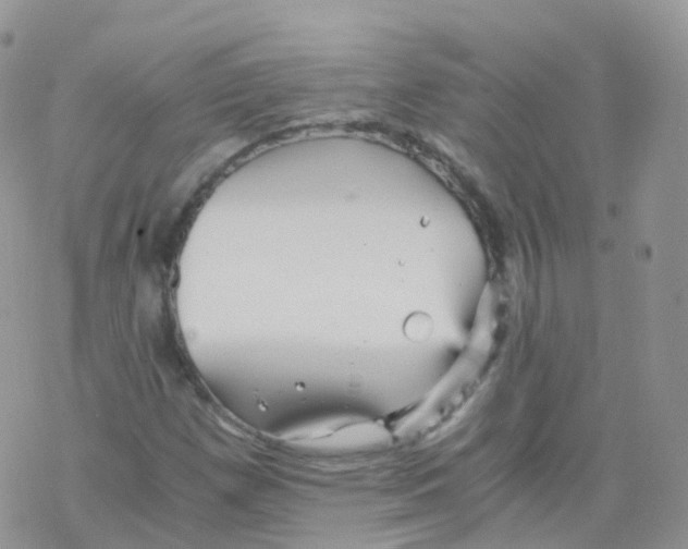 X0000078301257200611251500