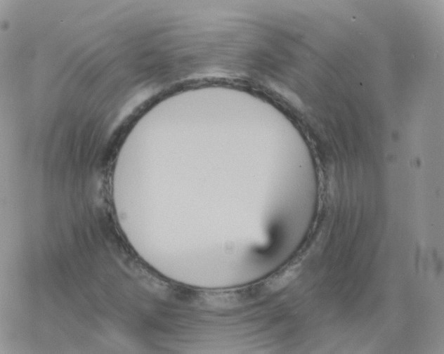 X0000078301258200611251500