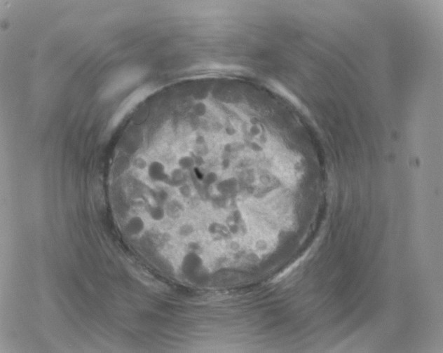 X0000078301259200611251500